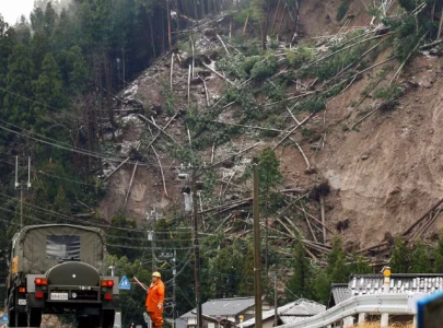 japan premier vows ceaseless aid as snow hampers quake relief