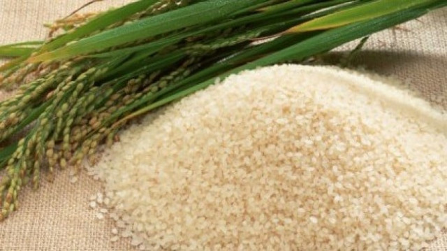 good season rice exports cross 1 5 million tons mark good season rice exports cross 1 5 million tons mark