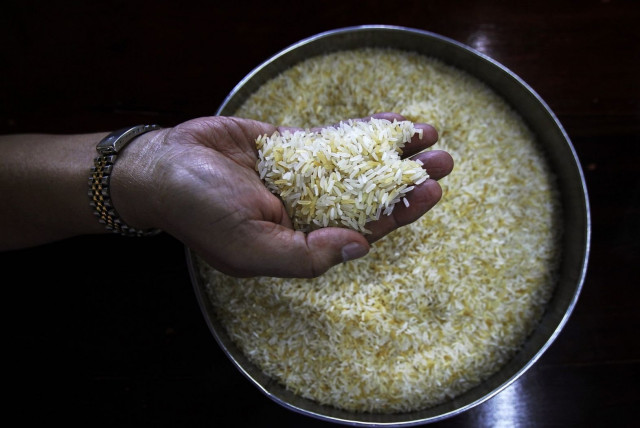chinese help sought for rice industry chinese help sought for rice industry