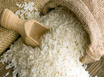 heat resistant hybrid rice variety developed