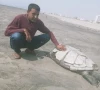 the dead turtle at clifton is not an isolated reminder of the pressures facing marine life photo wwf the dead turtle at clifton is not an isolated reminder of the pressures facing marine life photo wwf