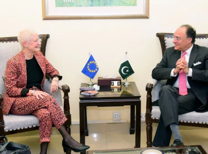 eu envoy calls on finmin