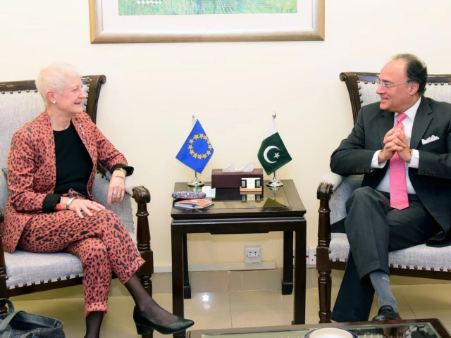 eu ambassador dr riina kionka called on minister for finance and revenue senator muhammad aurangzeb on friday photo app eu ambassador dr riina kionka called on minister for finance and revenue senator muhammad aurangzeb on friday photo app