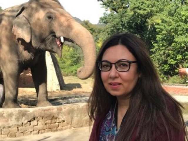 rina saeed khan satti former chair of the islamabad wildlife management board