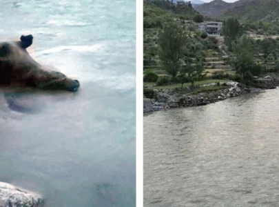 panjkora river a shadow of its former self panjkora river a shadow of its former self