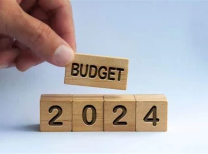 opposition senators assail imf budget