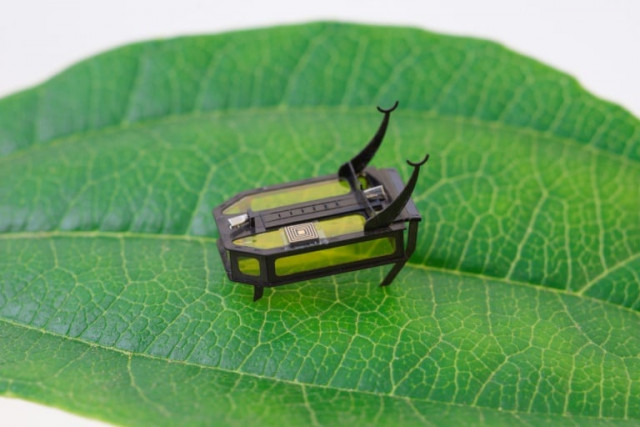 robeetle is just 15 millimeters 6 inches in length making it one of the lightest and smallest autonomous robots ever created photo afp robeetle is just 15 millimeters 6 inches in length making it one of the lightest and smallest autonomous robots ever created photo afp