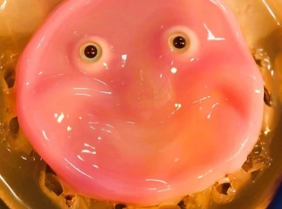 japanese scientists create robot face that smiles with living skin japanese scientists create robot face that smiles with living skin