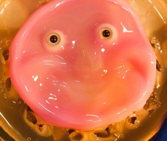 japanese scientists create robot face that smiles with living skin japanese scientists create robot face that smiles with living skin