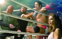 the smashing machine stumbles in debut round the smashing machine stumbles in debut round