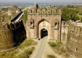 stone guardians of the plateau