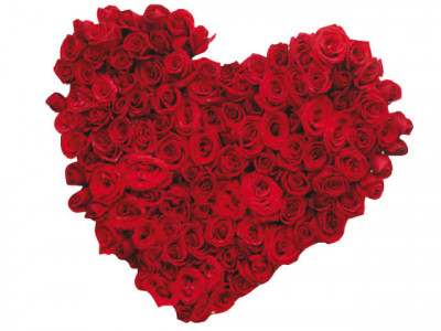 valentine s day everyone wants a little love valentine s day everyone wants a little love