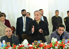 ruling coalition shoots itself in the foot