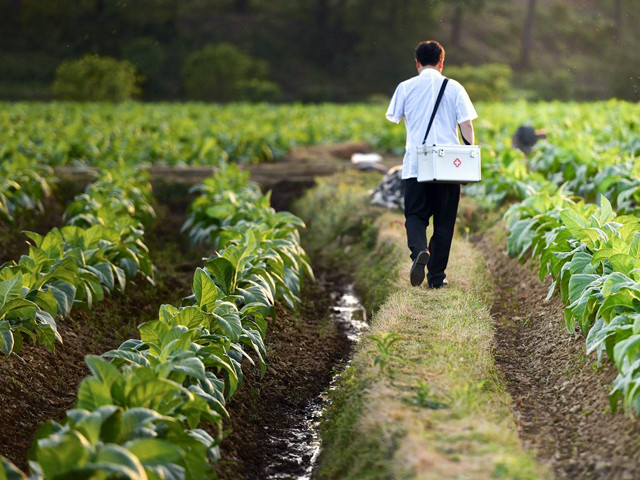 a doctor is walking through farmland fields to visit a patient in rural china photo xinhua file