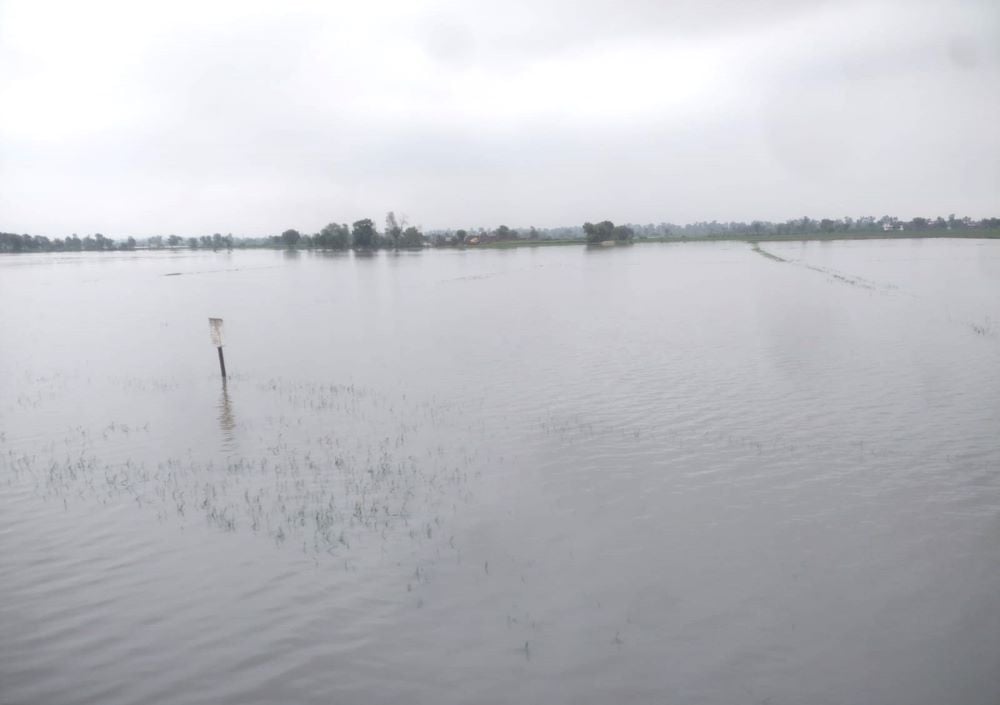 July 17th, image showing rural flood near Jehlum area. PHOTO: SUHAIL YUSUF