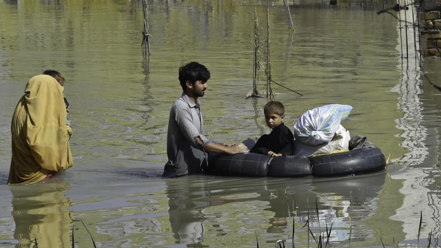 a family wades through a flood hit area following heavy monsoon rains in charsadda district of khyber pakhtunkhwa afp a family wades through a flood hit area following heavy monsoon rains in charsadda district of khyber pakhtunkhwa afp
