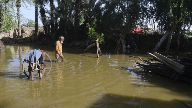 ghulam rasool says everything on his land in the southern pakistani village of panjal sheikh has been destroyed by the deadly monsoon floods afp ghulam rasool says everything on his land in the southern pakistani village of panjal sheikh has been destroyed by the deadly monsoon floods afp
