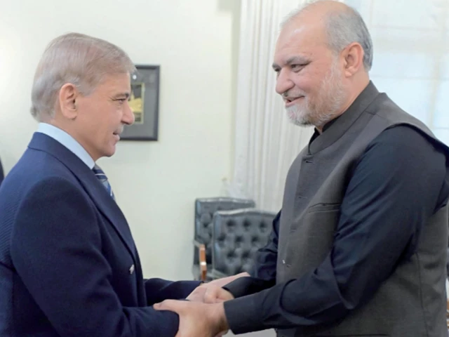 prime minister shehbaz sharif shakes hands with jamaat e islami chief hafiz naeem at the pm house in islamabad photo express prime minister shehbaz sharif shakes hands with jamaat e islami chief hafiz naeem at the pm house in islamabad photo express