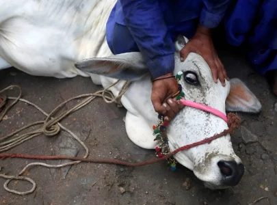 seasonal butchers on streets with knives cleavers seasonal butchers on streets with knives cleavers