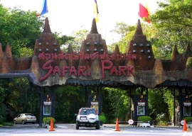 zookeeper killed in lion attack at bangkok safari park during tourist visit zookeeper killed in lion attack at bangkok safari park during tourist visit