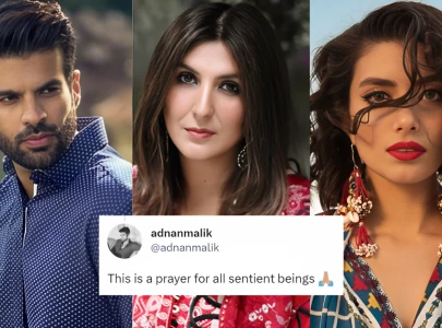 one of our own in a dark place adnan zara others speak up for khadija shah