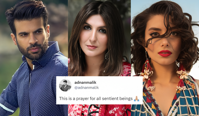one of our own in a dark place adnan zara others speak up for khadija shah