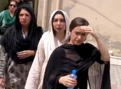 punjab govt challenges sanam javed s case dismissal in supreme court punjab govt challenges sanam javed s case dismissal in supreme court