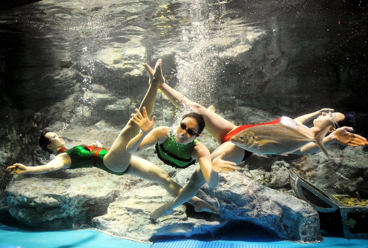 Updated Dec 21, 2010