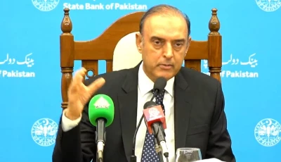 state bank of pakistan sbp governor jameel ahmad screengrab