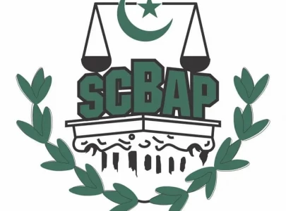 scbap criticises opposition for nsc boycott scbap criticises opposition for nsc boycott