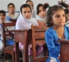 substandard material halts school project substandard material halts school project