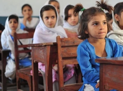 substandard material halts school project substandard material halts school project