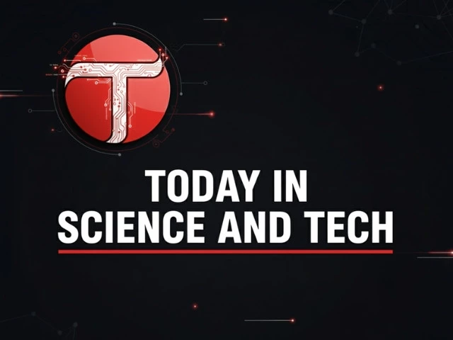 source ai source ai