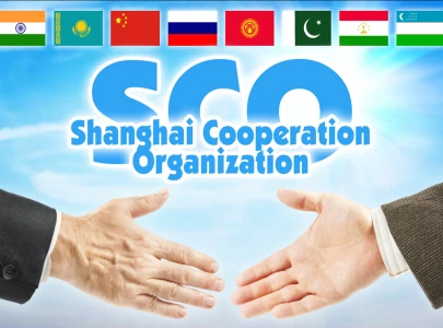 uzbekistan s sco freight traffic jumps 40 to 33 5m tonnes