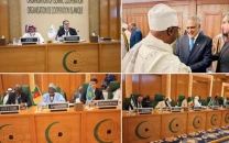 pakistan urges oic unity as bloc rejects israel s recognition of somaliland pakistan urges oic unity as bloc rejects israel s recognition of somaliland