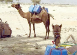 running out of water and time