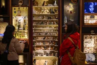 crowds flock to istanbul s museum of innocence before tv adaptation