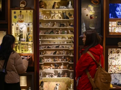 crowds flock to istanbul s museum of innocence before tv adaptation