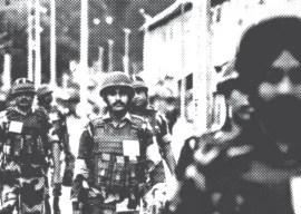 un experts raise alarm over military immunity in india
