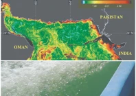 sea sparkle behind coastal glow