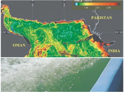 sea sparkle behind coastal glow sea sparkle behind coastal glow