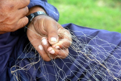 two day sea festival lures visitors with colour and music