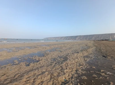 karachi wakes to sea born stench karachi wakes to sea born stench