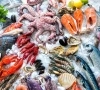 seafood exports surge on improved competitiveness