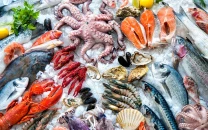 seafood exports surge on improved competitiveness