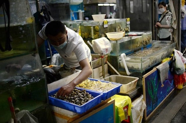 china keen to invest in food processing china keen to invest in food processing