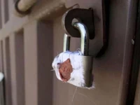 theatre sealed over violations