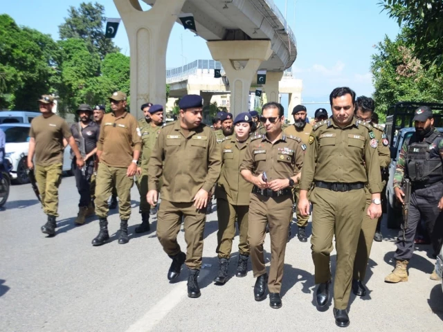 photo app file photo app file