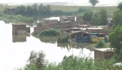 homes stand where the river once breathed   fragile roots on borrowed ground each year the flood returns not with fury but with memory reminding those who built too close that water forgets nothing in sehrish nagar houses now stand surrounded by water as levels rise downstream of kotri photo inp