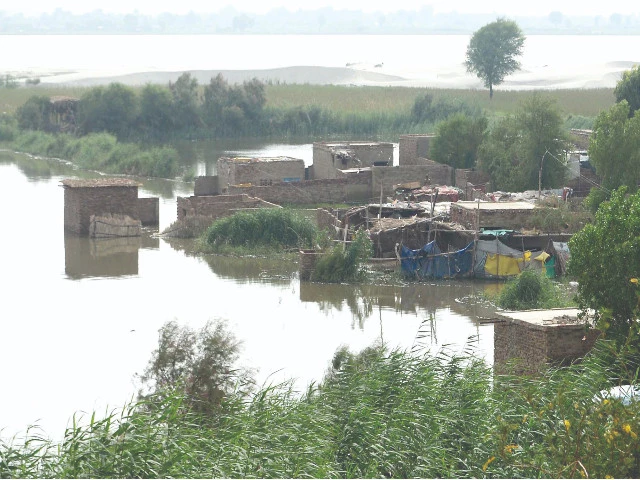homes stand where the river once breathed fragile roots on borrowed ground each year the flood returns not with fury but with memory reminding those who built too close that water forgets nothing in sehrish nagar houses now stand surrounded by water as levels rise downstream of kotri photo inp homes stand where the river once breathed fragile roots on borrowed ground each year the flood returns not with fury but with memory reminding those who built too close that water forgets nothing in sehrish nagar houses now stand surrounded by water as levels rise downstream of kotri photo inp